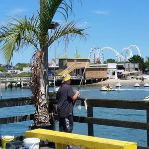 Meet your Posher, Phil